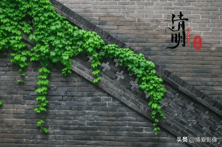 清明節為什么要掃墓 (清明節掃墓的由來和意義)