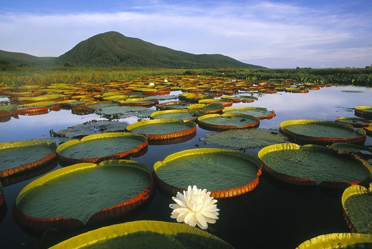 安新縣屬于哪個市