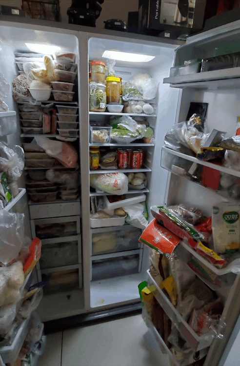 冰柜什么牌子好又省電質(zhì)量又好（商用冰柜十大排名）