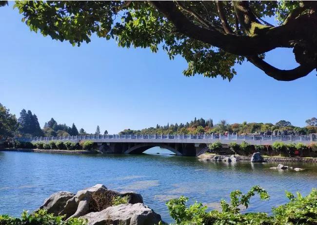 云南哪里適合養老房價又低（在云南哪里買房最好的選擇）