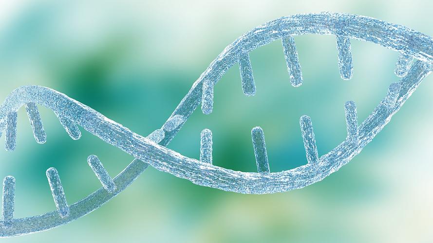 近親為什么不能結婚 (禁止結婚的親屬關系圖)