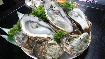 烤生蠔的利潤有多少(一元一只生蠔有利潤嗎)