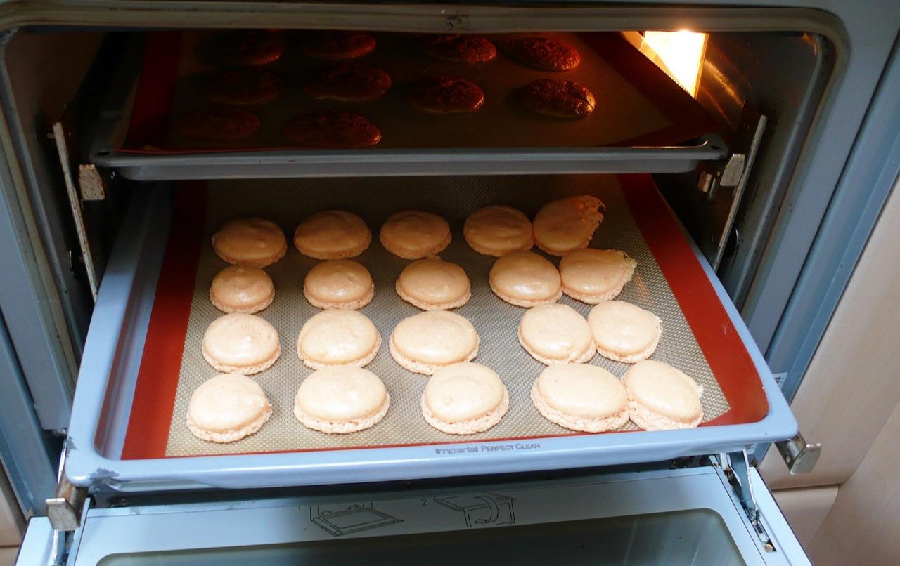 馬卡龍為什么那么貴 (馬卡龍為什么這么難吃還很貴)