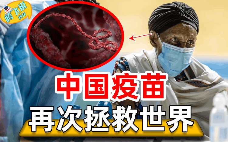為什么中國沒有埃博拉 (埃博拉為何自己消失了)