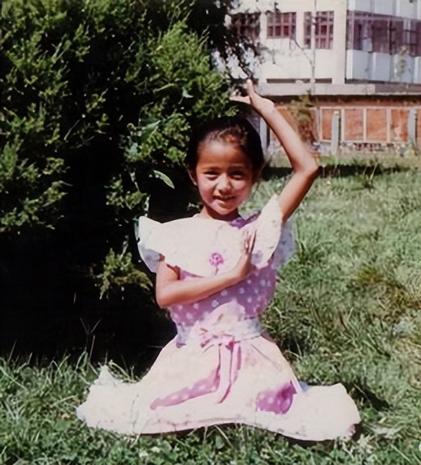 佟麗婭現(xiàn)在的老公(佟麗婭又嫁人嗎)