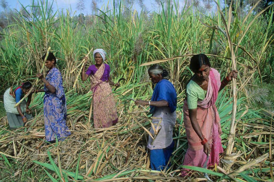 印度為什么總是有女性受到侵害(女孩子千萬不能去印度)