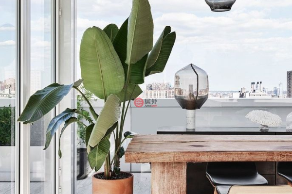 馬來西亞房價多少錢一平米(馬來西亞哪個州房子便宜)