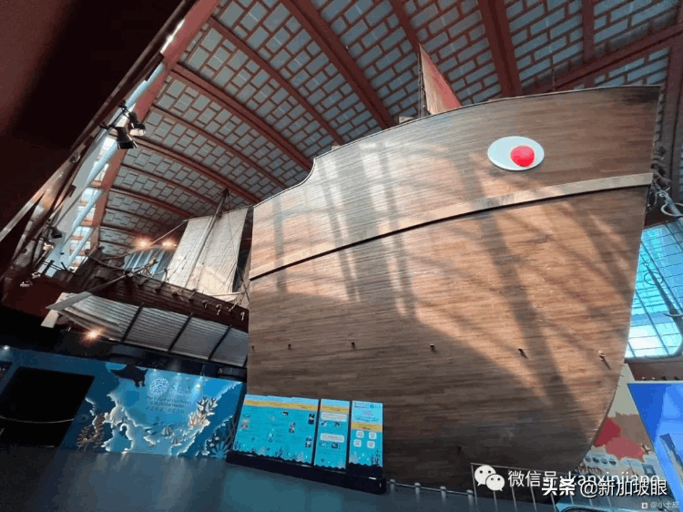 中國最大的海洋館在哪個地方（最大值得去的海洋館排名）