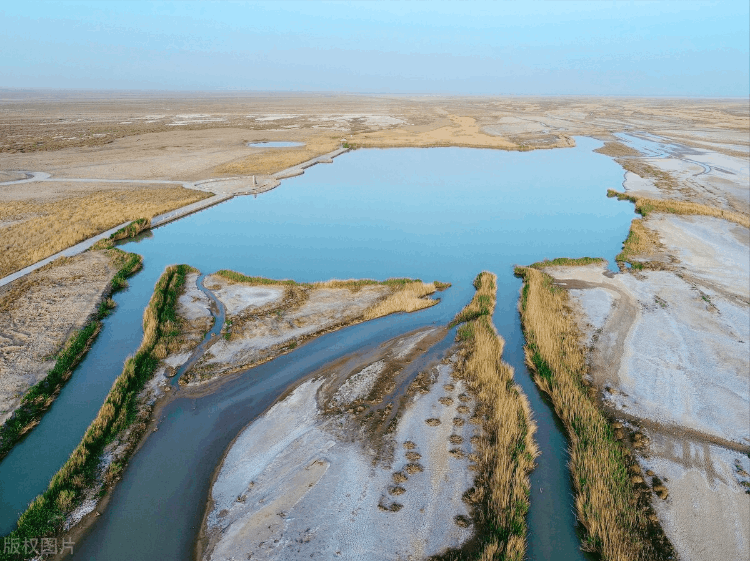 新疆湖泊排名（新疆的湖泊有哪些）