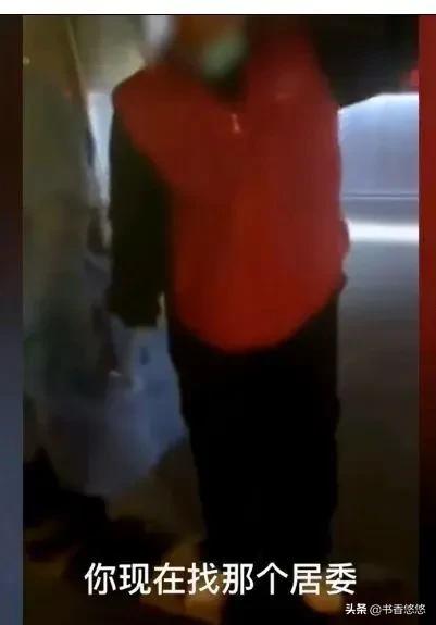 上海一柯基被打死（上海被打死柯基主人發(fā)聲）