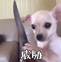 割包為什么很多人后悔 (成年割包好處和壞處)