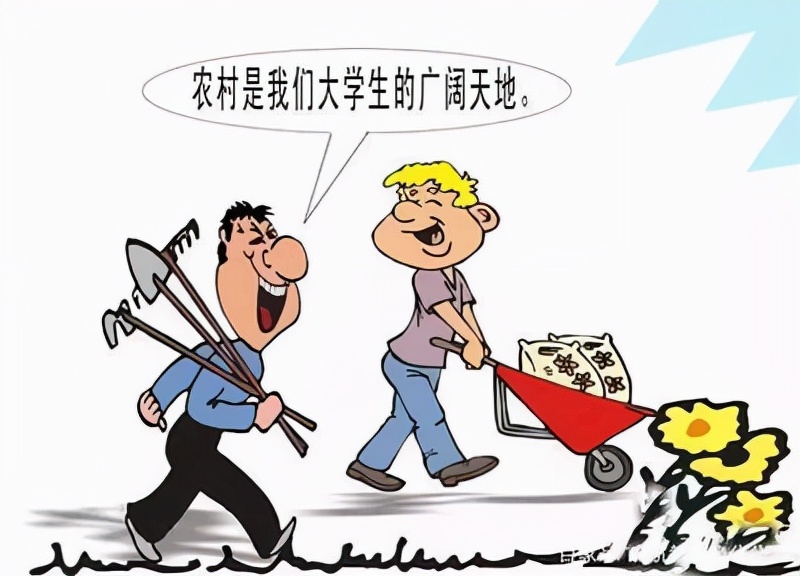 選調生待遇怎么樣（選調生為什么很少人報名）