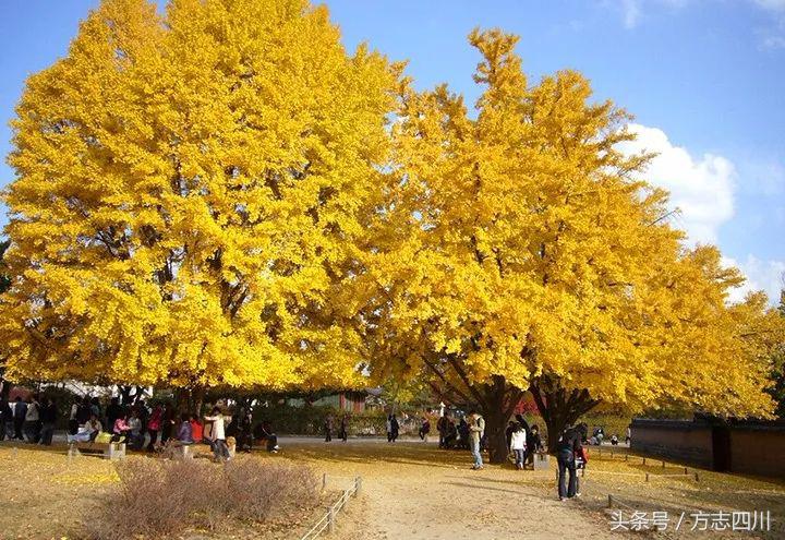 成都的由來和歷史（歷史上成都的別稱）