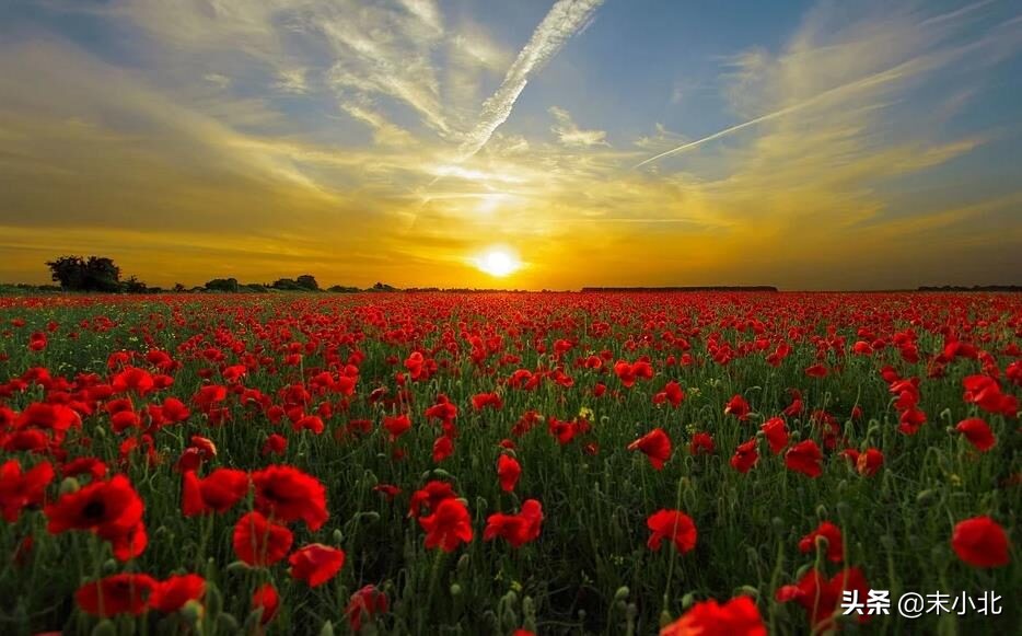 為什么你背著我愛別人 (為什么你背著我愛別人什么意思)