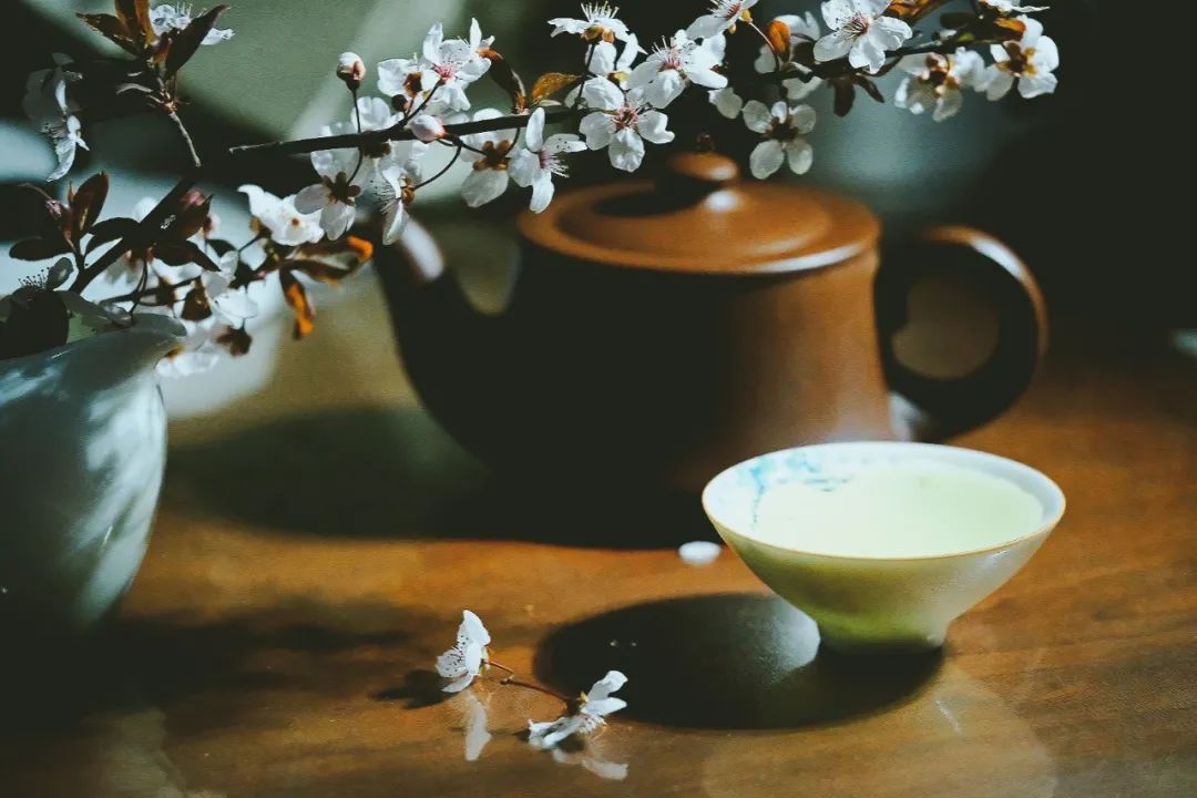 朋友圈曬花的唯美句子,落花的唯美詩(shī)詞句子