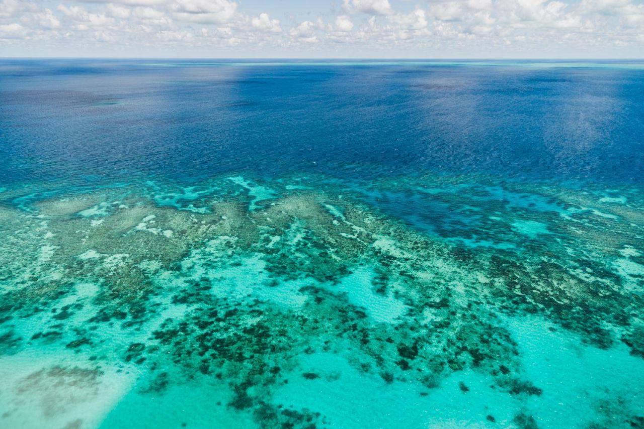 地球一共滅亡了幾次(地球滅亡了以后還有人類嗎)