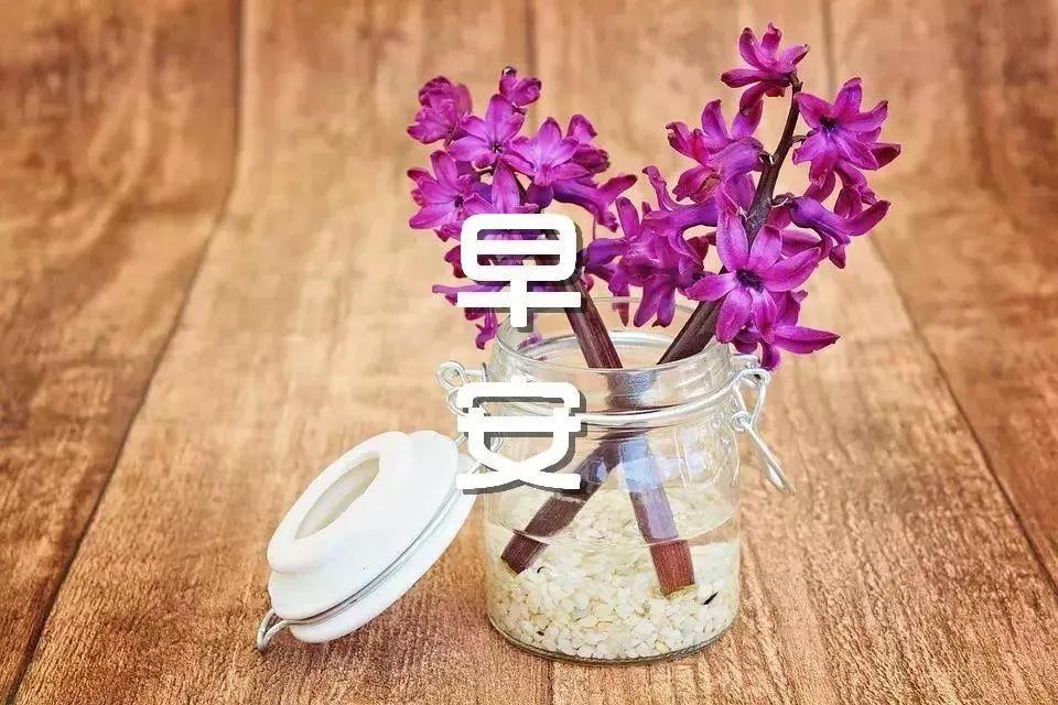 撩人早安情話最暖心短句