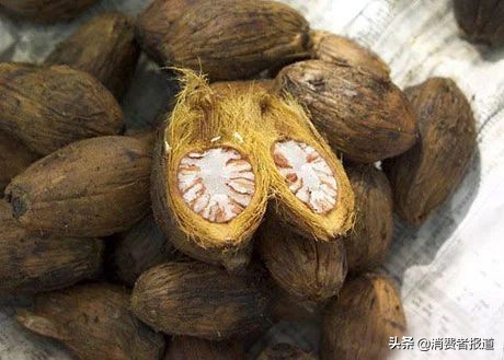 嚼檳榔為什么上癮 (為什么女生下面被稱為檳榔)