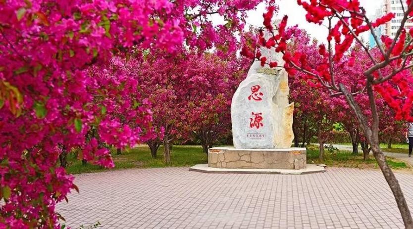 中國農業大學排名,農林類大學第一名