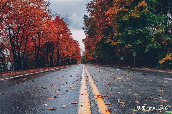 2099年地球還有人嗎(地球上死了的人去哪了)