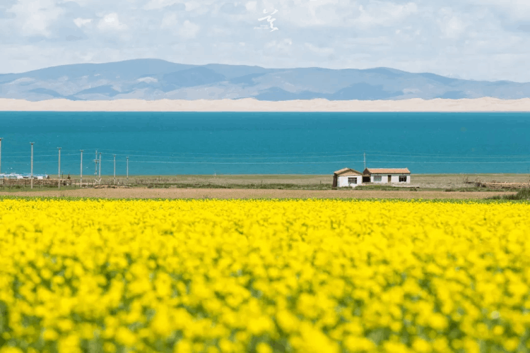 國內旅游攻略（旅游去哪里好玩又便宜國內游）