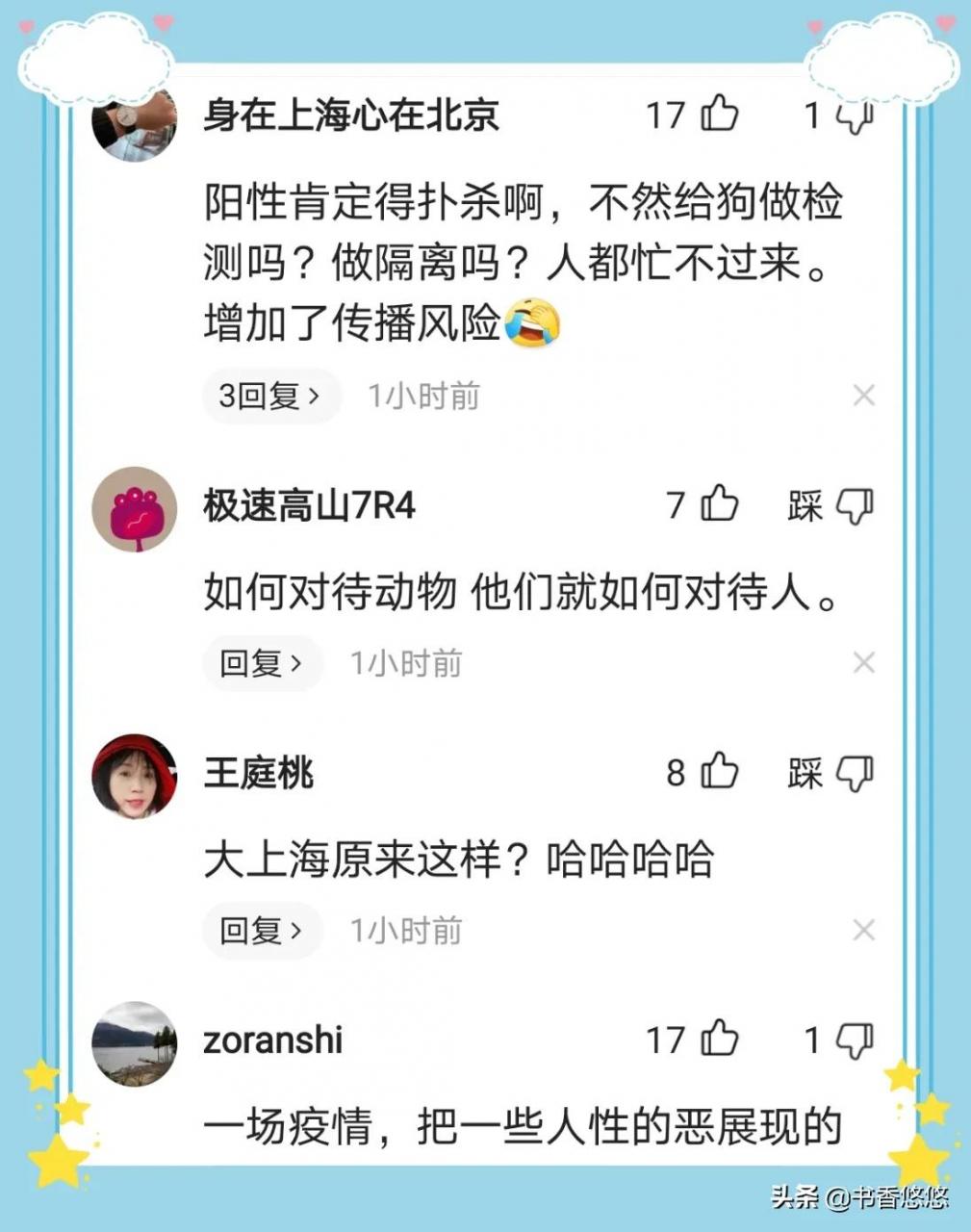 上海一柯基被打死（上海被打死柯基主人發(fā)聲）
