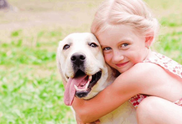 狗為什么會叫(狗狗突然狂叫是什么原因)