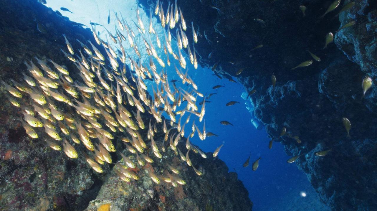 地球一共滅亡了幾次(地球滅亡了以后還有人類嗎)