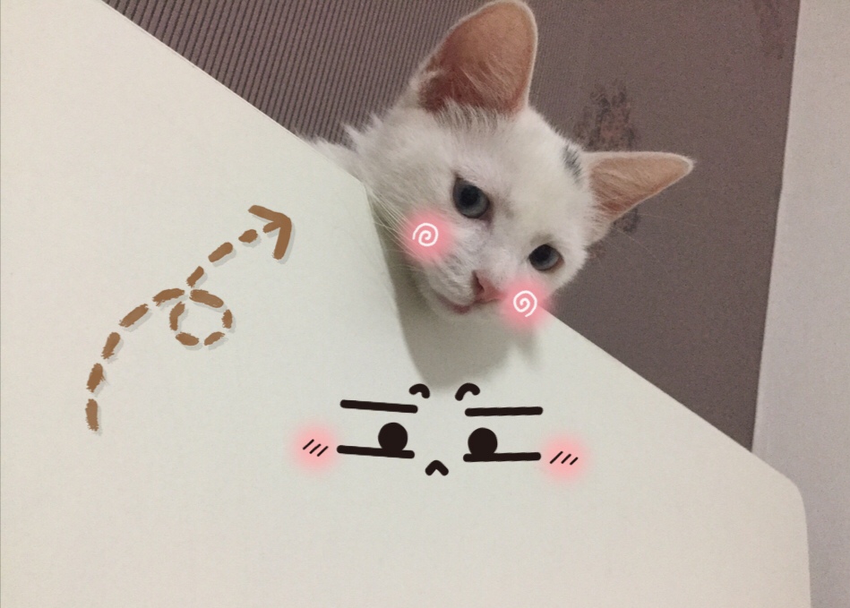 佘詩曼和宣萱長的好像（佘詩曼宣萱相似度）