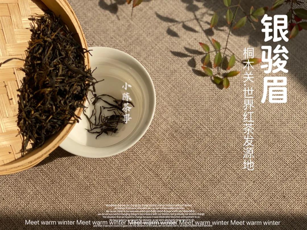 隔夜茶到底能不能喝(隔夜茶喝了有什么危害)