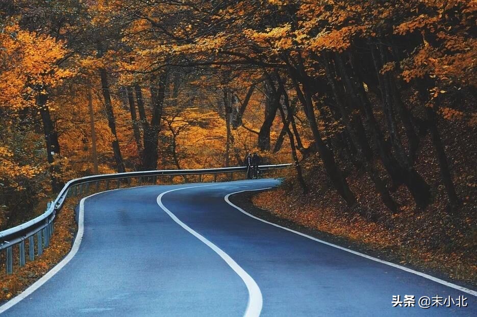 為什么你背著我愛別人 (為什么你背著我愛別人什么意思)