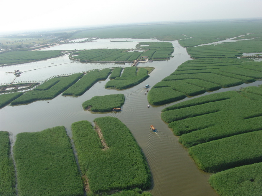 安新縣屬于哪個市