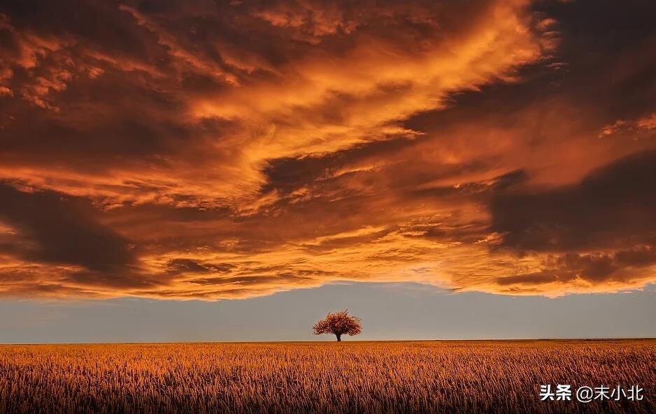 為什么你背著我愛別人 (為什么你背著我愛別人什么意思)