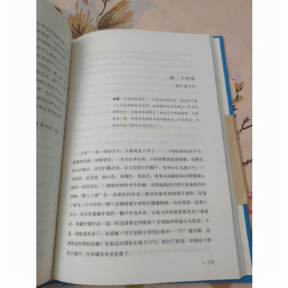 綠山墻的安妮作者(綠山墻的安妮的錯誤)