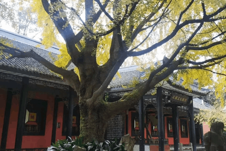 成都旅游攻略自由行攻略(成都值得去的網(wǎng)紅打卡地)