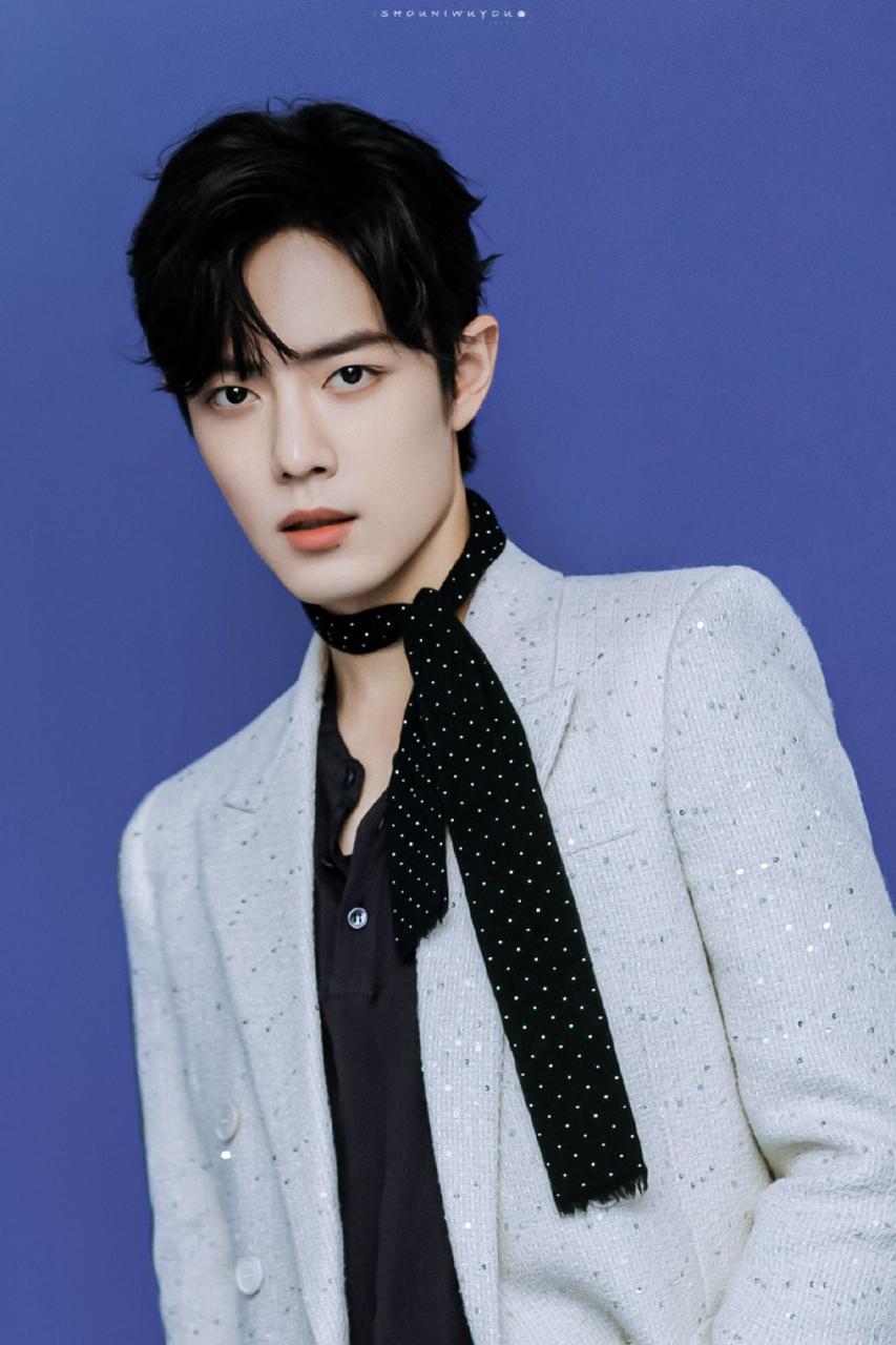 肖戰為什么被全網黑 (肖戰的手為什么這么黑)