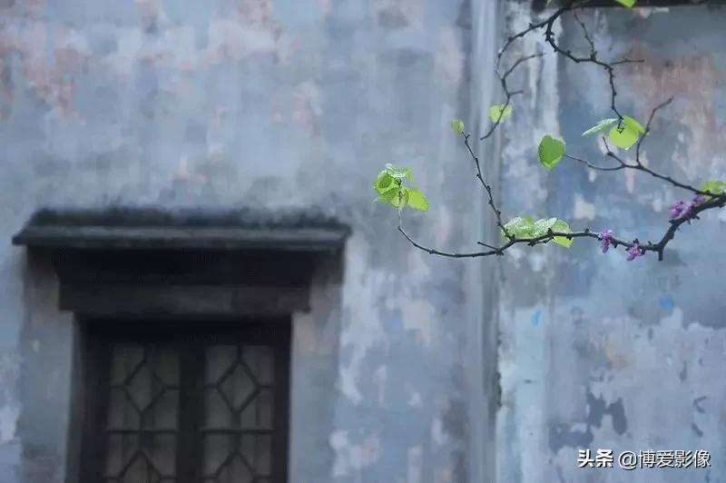 清明節為什么要掃墓 (清明節掃墓的由來和意義)