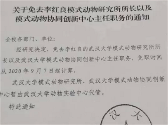 憑什么護士長可以管醫生（護士長在醫院地位高嗎）