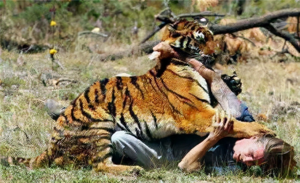 為什么被熊吃最痛苦 (為什么熊吃了人一定要擊斃)