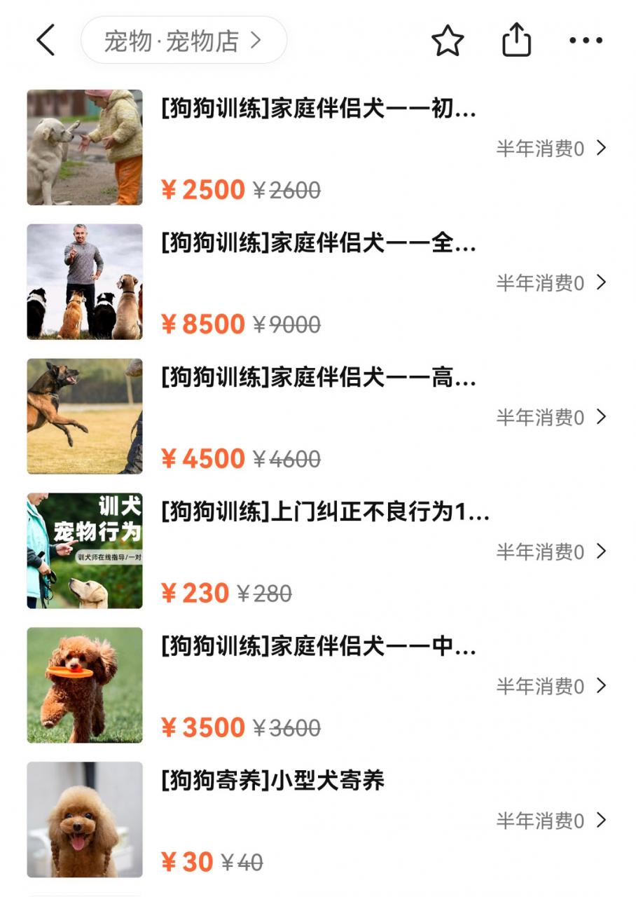 寵物訓練多少錢一個月（寵物學校訓練價格表）
