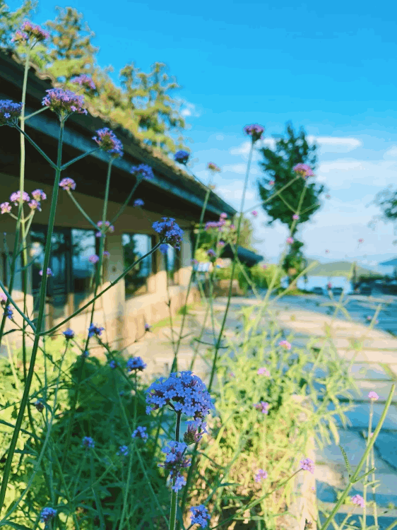 國內旅游攻略（旅游去哪里好玩又便宜國內游）