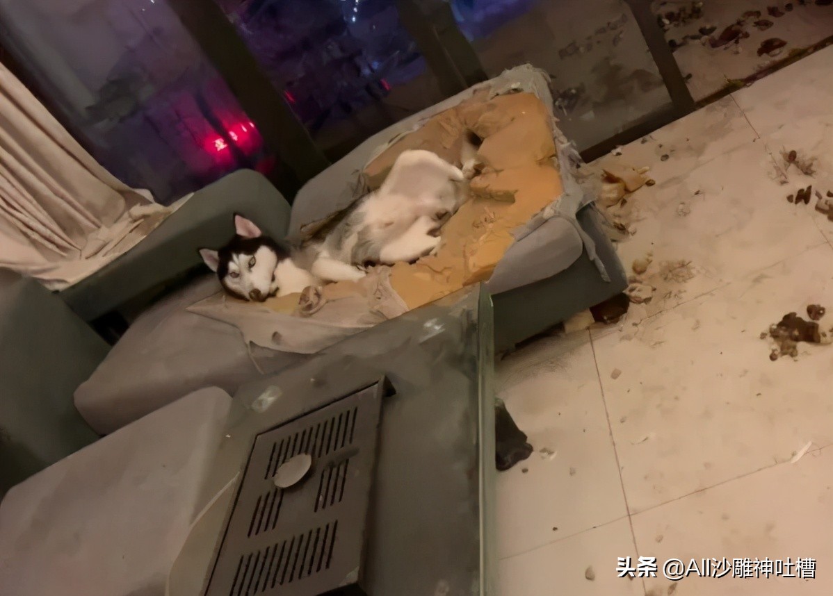 充電什么意思 男生說充電是什么梗