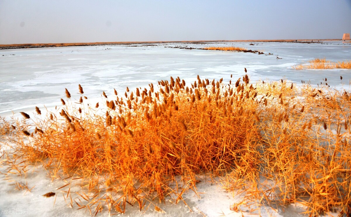 新疆湖泊排名（新疆的湖泊有哪些）