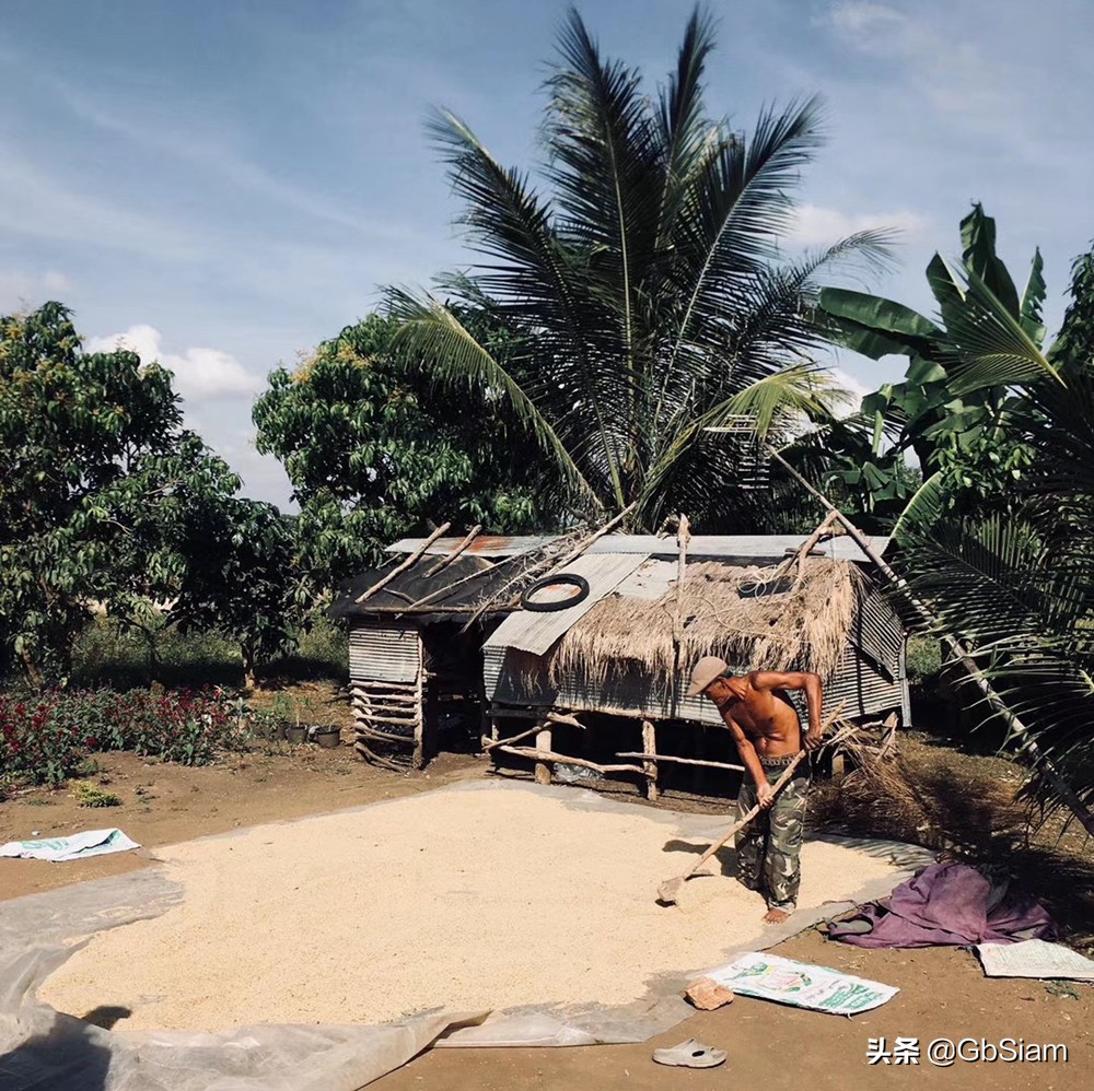 2w月薪在泰國什么水平（泰國哪里華人定居最多）