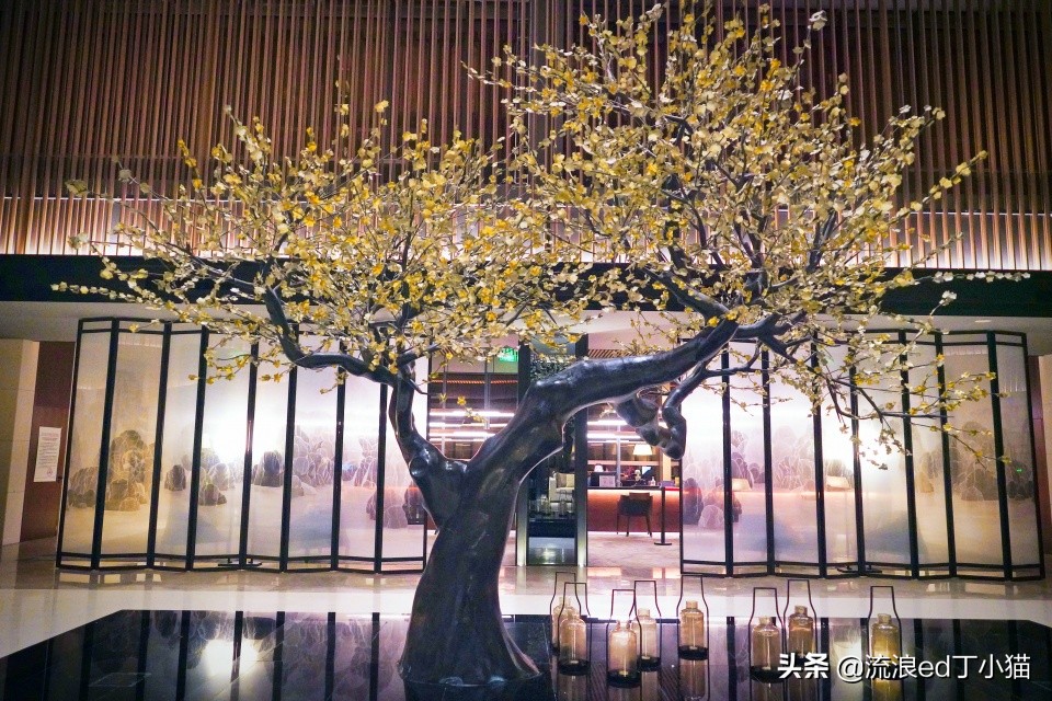 中國(guó)10大七星級(jí)酒店（中國(guó)七星級(jí)酒店有幾家）