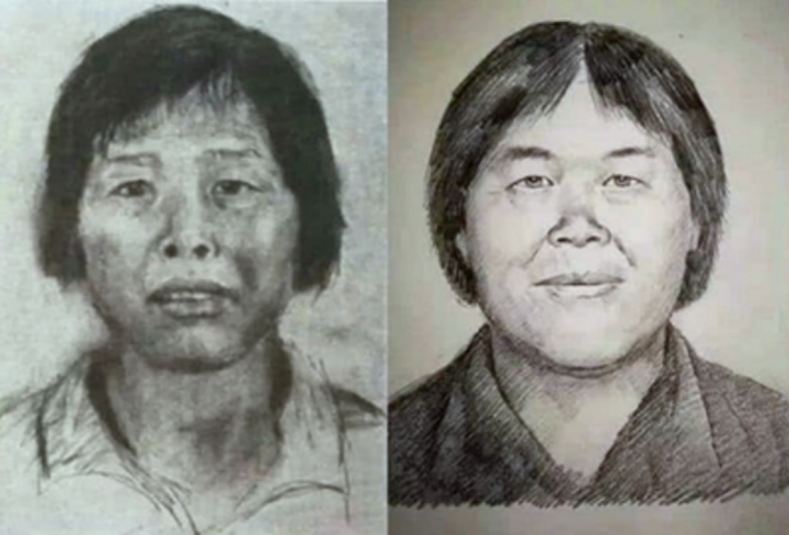 梅姨抓到了嗎(至今未歸案)
