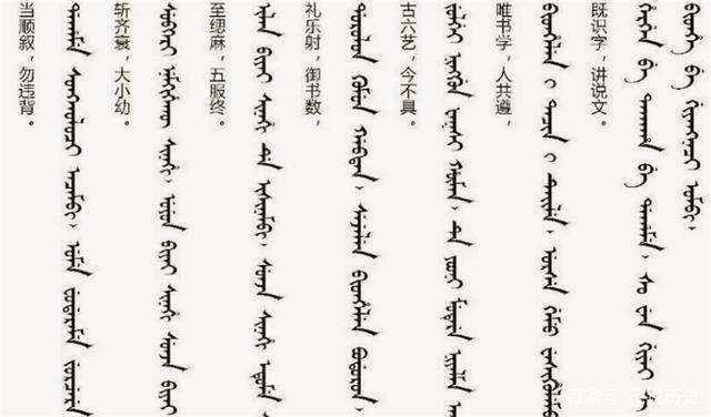 少數民族人口排名（55個少數民族排名）