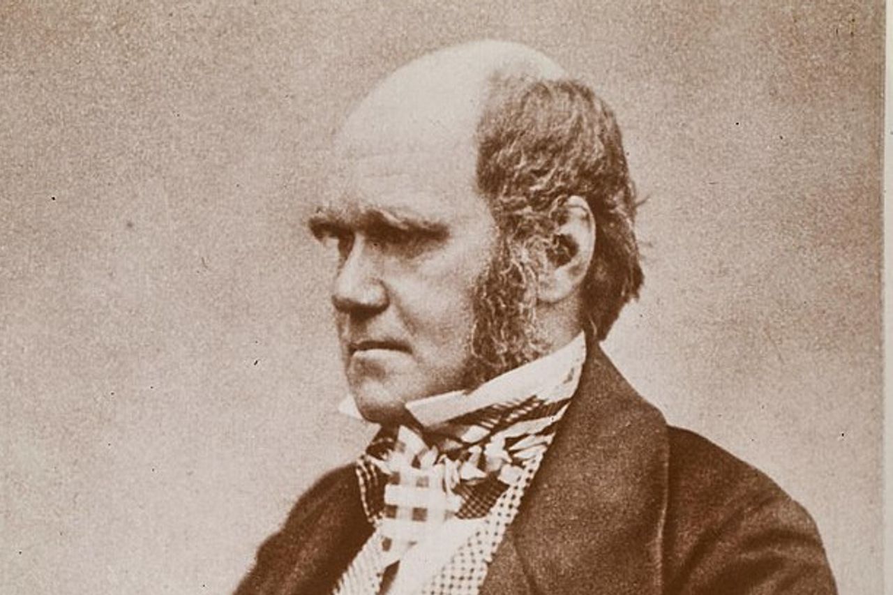 宇航員無意間看見上帝（宇宙之外還有多少個宇宙）