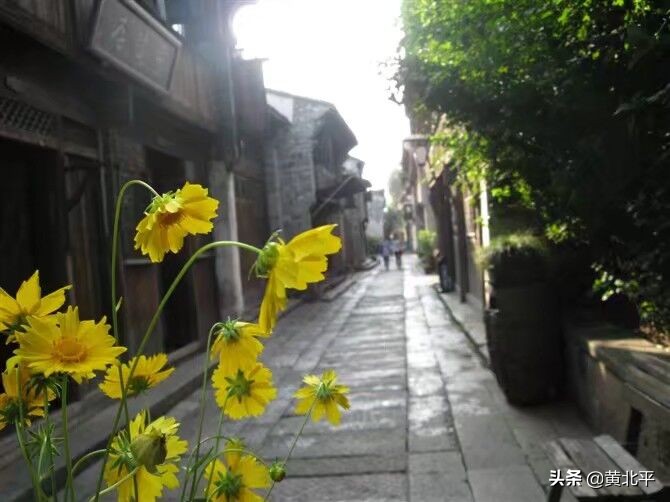 烏鎮在哪個城市(烏鎮屬于杭州還是蘇州)