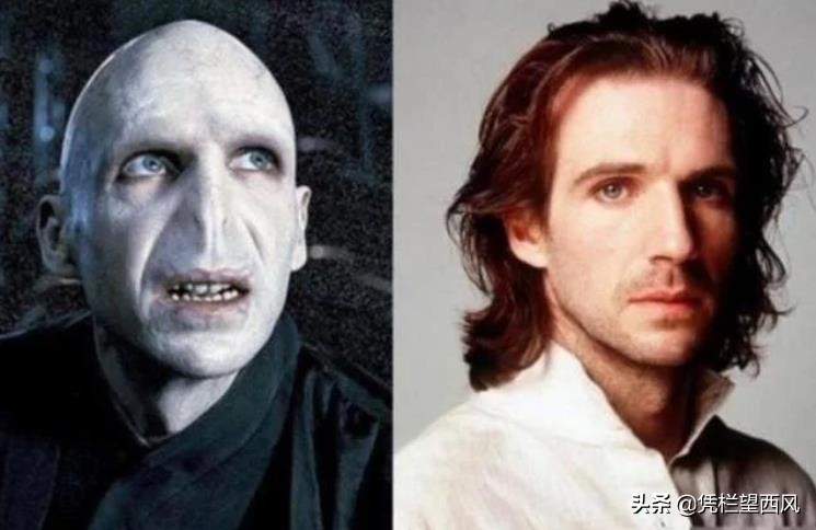 哈利波特長大后的照片（哈利波特1到7顏值變化）